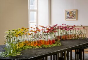 Chic Gardens: tentoonstelling Fleur Floral Fashion in de landcommanderij van Alden Biesen in Bilzen (Limburg)