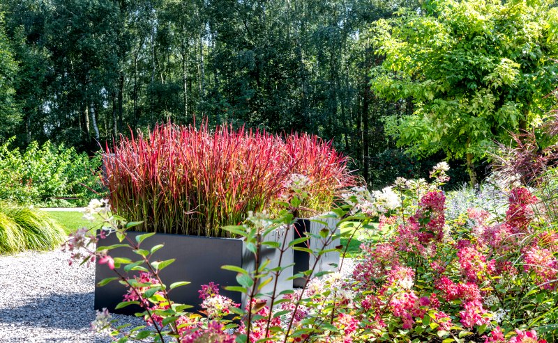 Luxueuze tuin in Tongeren aangelegd door Tuinen Paul Nijst.