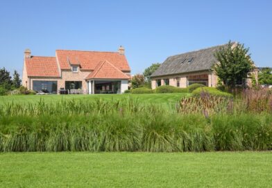 Landelijke tuin met rijke inheemse beplanting en een grote vijver door tuin- en landschapsarchitect Lieven Vereecke.