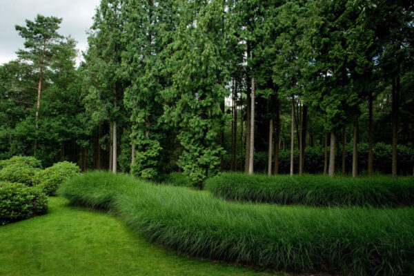De mooiste tuinen van Marcel Wolterinck. Eden Garden Design via chicgardens.be