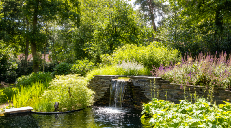 Natuurlijke tuin met zwemvijver op idyllische groene locatie. Realisatie door Cools Tuinaanleg & Zwemvijvers.