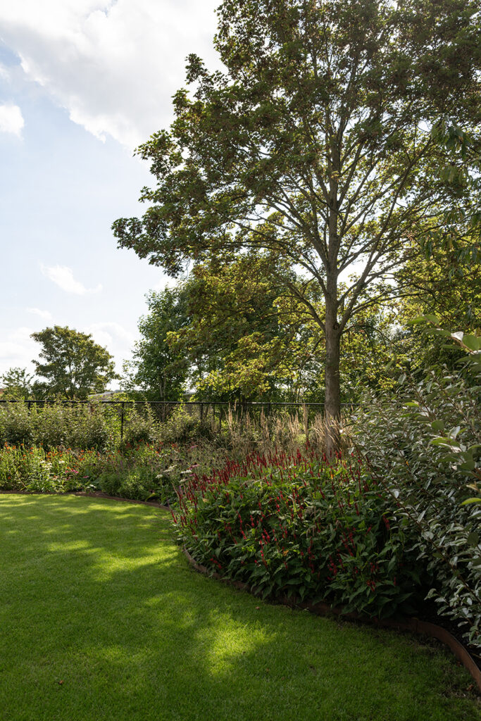 Tuinproject gerealiseerd door Buitenburo: achtertuin